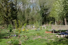 Einblick in den Waldgarten