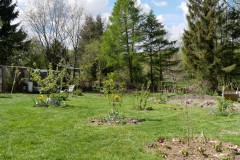 Einblick in den Waldgarten