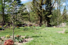 Einblick in den Waldgarten