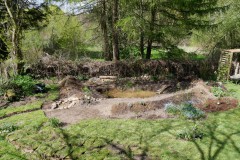 Neuer Teich
