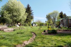 Einblick in den Waldgarten
