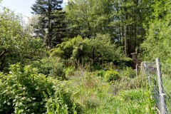 Naturgarten