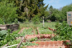 Beete im Naturgarten