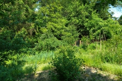 06-2023_Lifegarten-05
