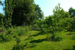 06-2023_Lifegarten-06