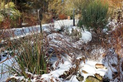 wintersonne