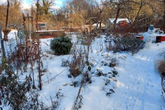 winterwunderland